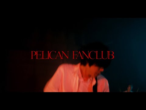 PELICAN FANCLUB『Primary Colors』Music Video