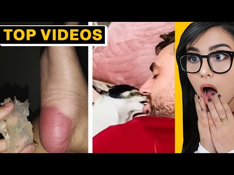 Try Not To Get Uncomfortable Challenge (Impossible) | SSSniperWolf