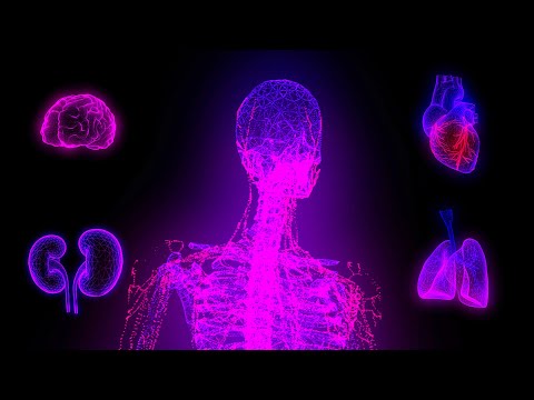 Cyberpunk Hi-Tech Neon Hologram Anatomy Background video | Footage | Screensaver