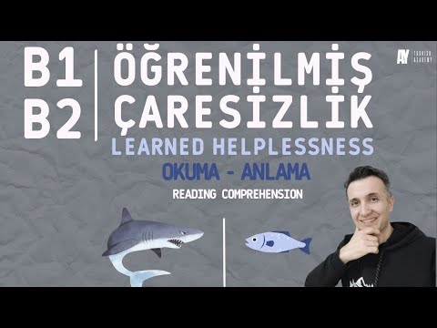 B1- B2 Okuma - Anlama | Öğrenilmiş Çaresizlik - Learned Helplessness