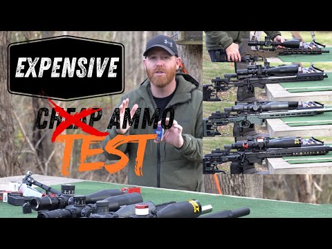 Testing Expensive Ammo in Rimfires Ranging from Cheap to Crazy Expensive