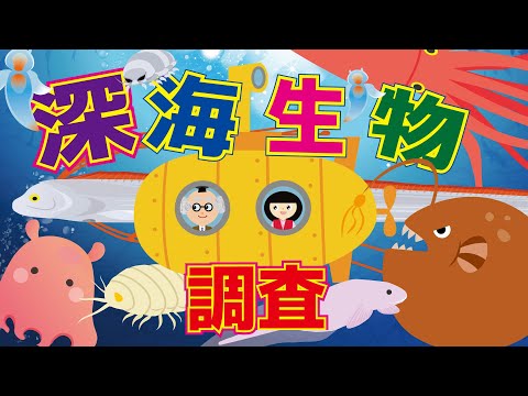 【ようかい博士】深海生物調査☆座敷童と一緒に深海に住む海の生き物を調査するよ！【知育】ダイオウイカ・ダイオウグソクムシ・メンダコ・リュウグウノツカイ・チョウチンアンコウなど　教育アニメ