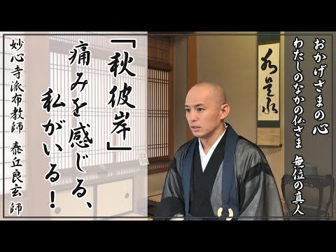 「秋彼岸」痛みを感じる私がいる　妙心寺派布教師 泰丘 良玄師