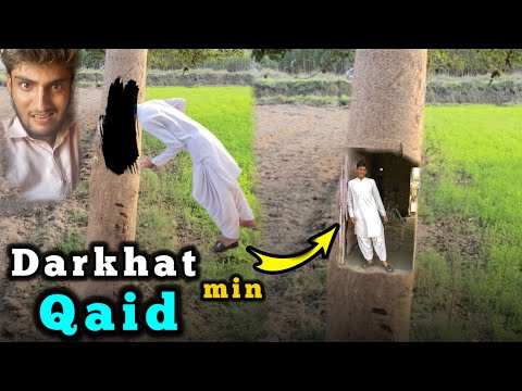 Darkhat Min Insan Qaid kaise Ho Gaya | Insan Darkhat ke Andr Q ja raha