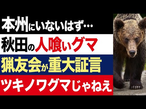 【2chニュース】新種…秋田山奥に潜む「巨大人喰いグマ」のヤバすぎる正体。地元猟友会が語る【時事ゆっくり】