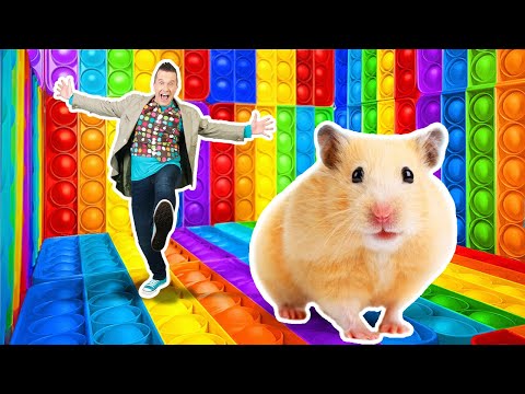 Can Milky Conquer a Huge POP-IT Hamster Maze? 🐹❓✨ Crafts for Pets by Slick Slime Sam's Maker World