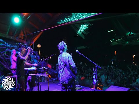 Hilight Tribe - Live in Ozora (Official Movie)