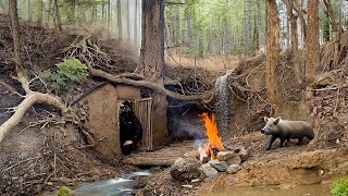 Building a Secret Shelter in the Roots of a Large Tree. Survival Skills