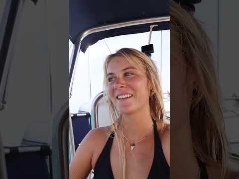 Solo Sailing Adventure: Safety, Prep, and Cat Concerns!