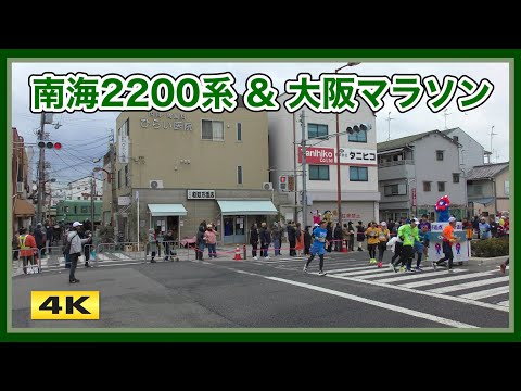 南海2200系 2231F 大阪マラソン2025 なにわ筋【4K】