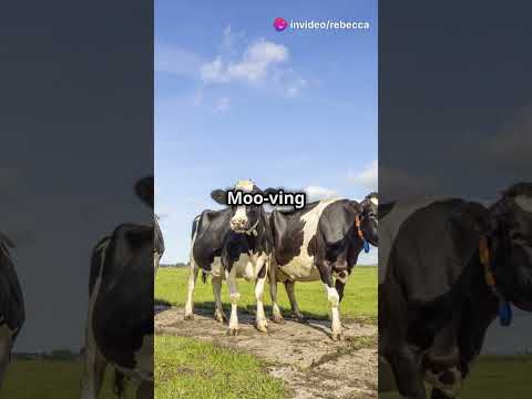 Top 8 Mind Blowing Facts About Cows!