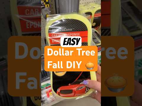 You’ll never believe this Fall DIY I made with a Dollar Tree Auto Sponge! 😳 #dollartreefalldiy