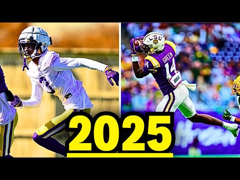 LSU’s NEW Stars you NEED to LEARN before 2025