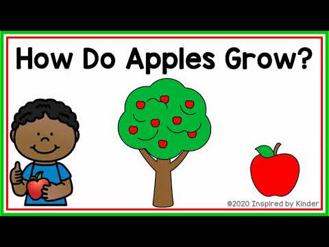 How Do Apples Grow? (Apple Life Cycle)