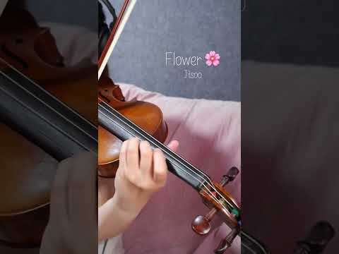 Flower - Jisoo (Violin Cover)