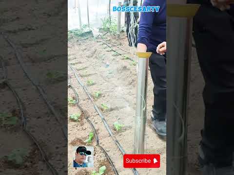 Easy Farming Tools  #farming #planting #seedling #agriculture #farmer #tool #satisfying #shorts