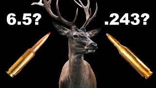 6.5 Creedmoor or .243 Winchester for Deer Hunt? - Season 2: Episode 71