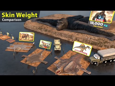 Animal Skin weight size comparison | animal | birds | snakes | Godzilla | Kong | dinosaurs