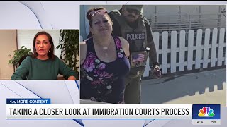 Here’s a closer look at immigration courts process