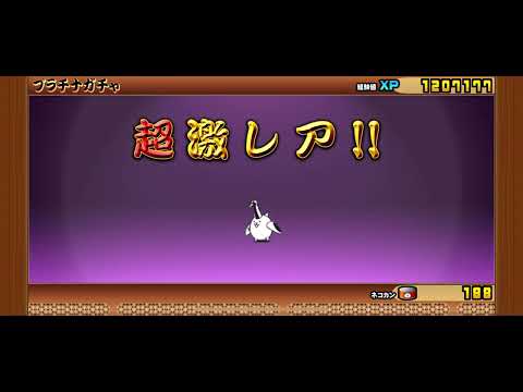 ニャンコ道検定クリアしたからプラチナガチャ