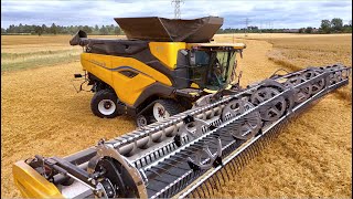 Wheat Harvesting in the UK | New Holland CR11 w/ 50ft / 15.2m Flex Header | The New Mega Combine