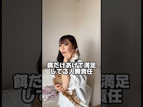 猫好きの彼女が怒った #shorts #カップル