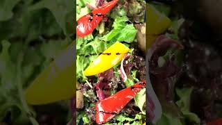 Healthy Choices With Diabetes - Lunch | Salads & Carb Control  (Short 1) #diabetesmanagement #lunch