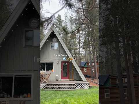 first snow at our tiny homestead ❄️