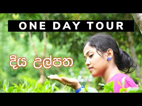 One day tour | Diya Ulpatha | දිය උල්පත | Diya ulpatha tea garden resort