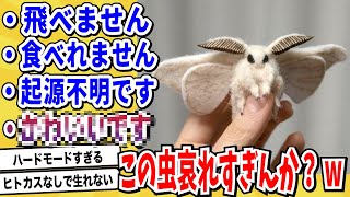 【2ch動物スレ】カイコとか言う虫界最カワの生物の生涯が哀れすぎてハードモードすぎるwwwww【なんj/にちゃん 面白いスレ】