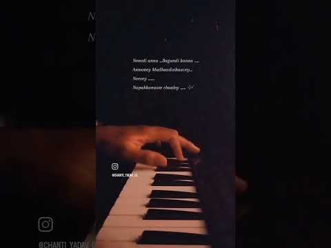 Nenedi anna bavundi kanna song piano cover