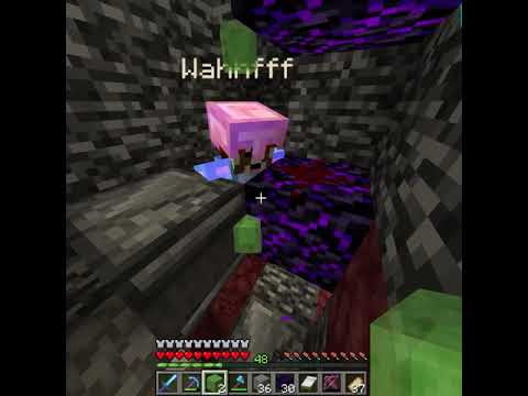 How Collin is Cool on the 100 by 100 Minecraft World