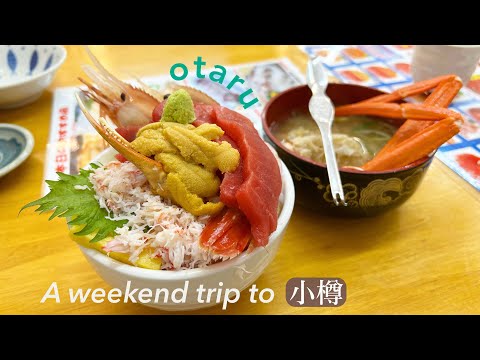 SUB【Hokkaido vlog】Otaru Travel | Kaisendon at Takinami Shokudo | Otaru Canal | Music Box Museum