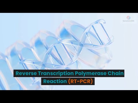 Reverse Transcription Polymerase Chain Reaction (RT-PCR)