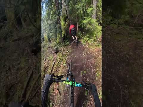 MountainBike No Fall Zone