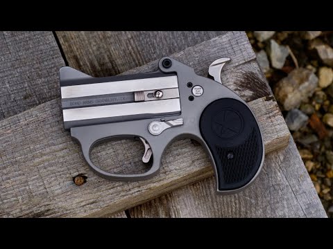 Bond Arms Stinger 22LR Review