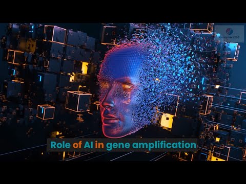 Role of AI in gene amplification