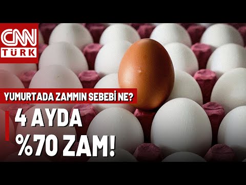 Yumurtaya %70 Zammın Arkasında Ne Var? Yumurta Fiyatları Neden Artıyor?