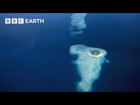 The Mysterious Islands of the South Pacific | BBC Earth