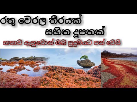 රතු වෙලර තීරයක් සහිත දූපතක්(Island which has a red beach)