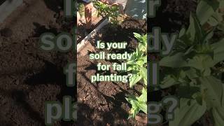 Get Your Soil Ready for Fall Planting!  #fallplanting #gardensoil