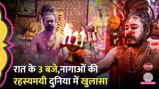 ‘लिंग तोड़ा जाता…’ Naga Sadhu के आगे नतमस्तक अमेरिकी लोग,ऐसी तस्वीर 12 साल नहीं दिखेगी