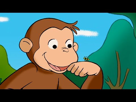 George’s Bee Troubles 🐵 Curious George | Animal Friends