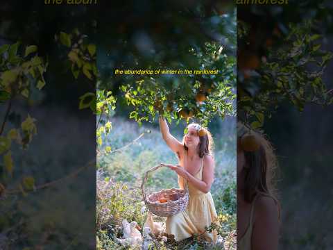 Beautiful nature and a rural life, picking fruit from the orchard in the winter sun 🧡🌱🦋