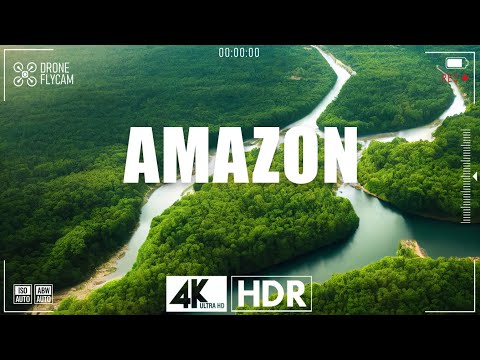 Amazon 4K • Breathtaking Rainforest Scenery with Relaxing Music | Tropical Nature Film in Ultra HD