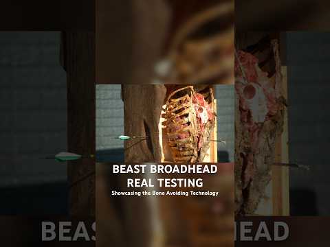 BEAST Broadhead TESTING On Real Hide,Tissue, & Bone in INSANE SLOW MOTION 🤯🤯 #beastbroadheads