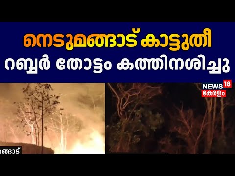 Nedumangad തിരിച്ചിട്ടപ്പാറ മലയിൽ കാട്ടുതീ; റബ്ബർ തോട്ടം കത്തിനശിച്ചു | Nedumangad Fire |Trivandrum