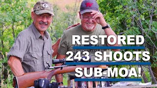 243 Winchester M70 Comes Out of Retirement