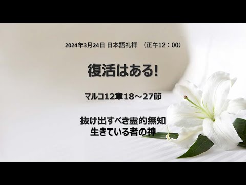 [イェウォン教会 日本語礼拝局] 2024.03.31 - 日本語礼拝 - 復活はある！(マルコ12:18−27)