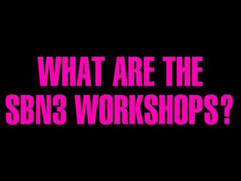 WHAT ARE THE SBN3 WORKSHOPS?